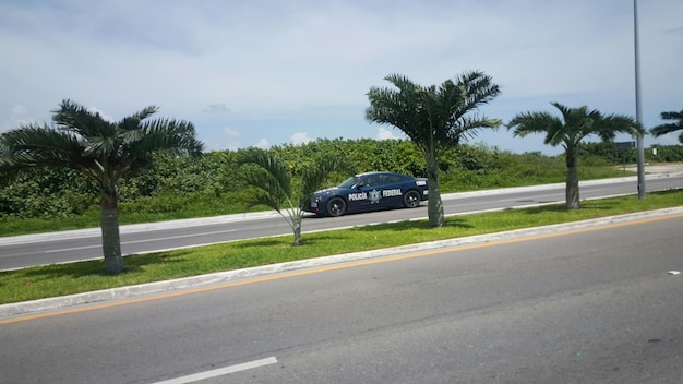 Empty road with trees in background