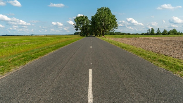 An empty roadway outside the city passes by trees growing on\
the side of the road travel by car away from the city and the\
hustle and bustle paved road on a sunny day without cars