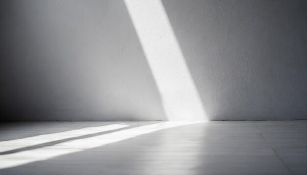 empty room bathed in ethereal white light casting gentle shadows on pristine floor capturing tranq