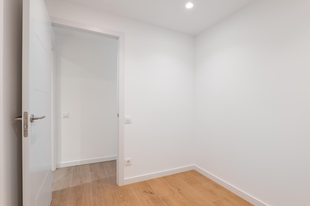 Empty room with laminate flooring and newly painted white wall\
in refurbished apartment with corridor leading to other rooms\
repair and construction concept