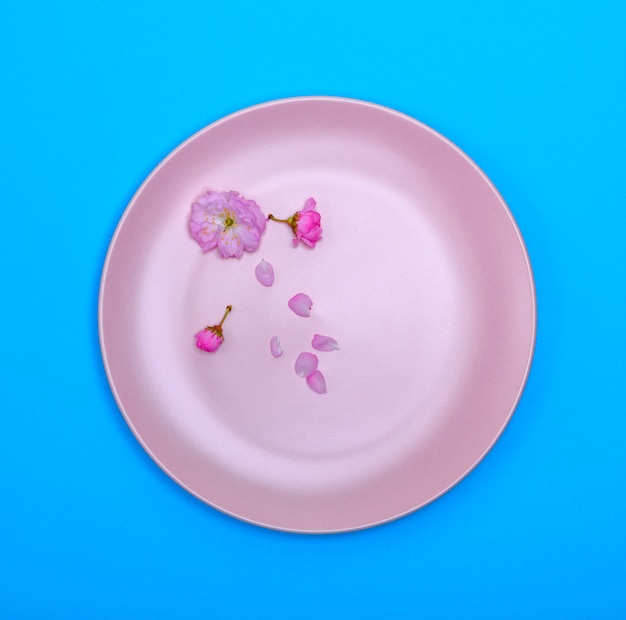 Empty round ceramic pink plate on blue