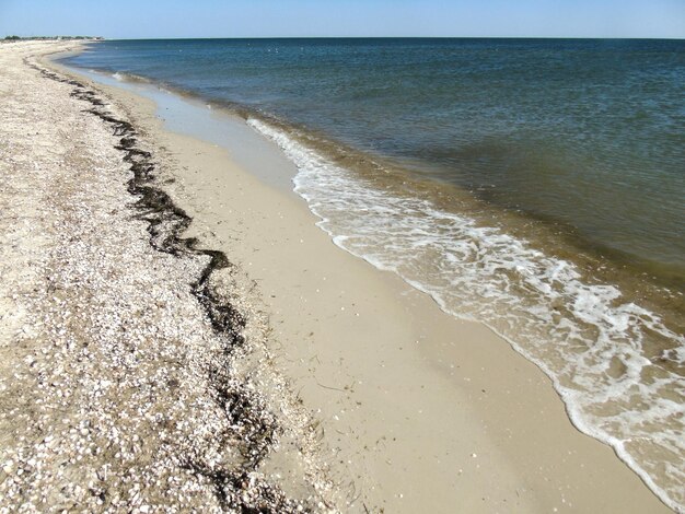 青い空と地平線を背景に貝殻と波のある空の砂浜夏の海景