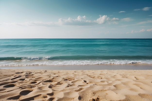 Empty sea and beach background