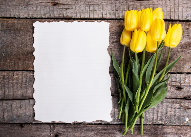 Empty sheet of paper and tulips