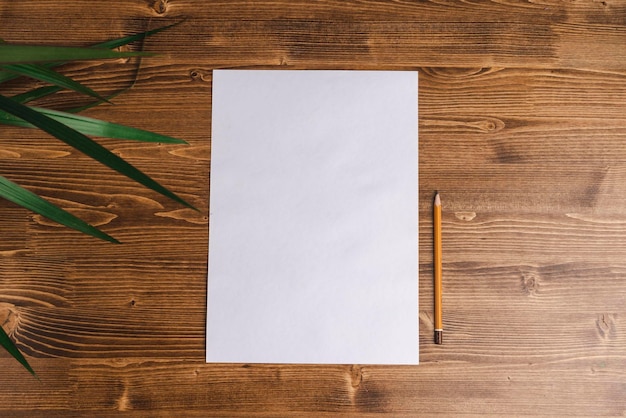 Empty sheet of white paper and a pencil on a wooden table