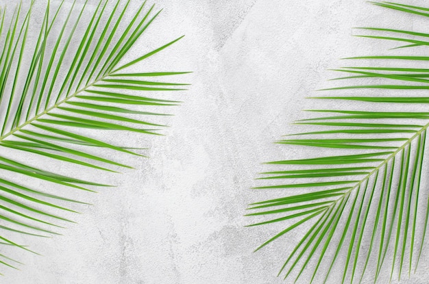 Empty showcase for advertising cosmetic products with palm leaves A twig of a palm tree on a light gray background with a place for advertising the product