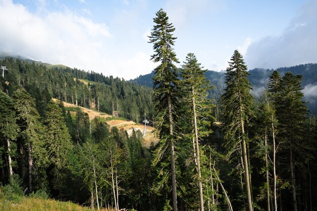 Empty ski slopes in summer on ski resort