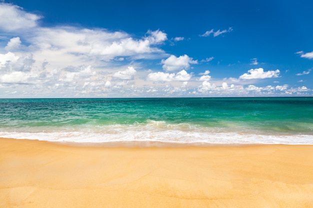 Svuoti il fondo del cielo e del mare e della spiaggia con lo spazio della copia a phuket tailandia