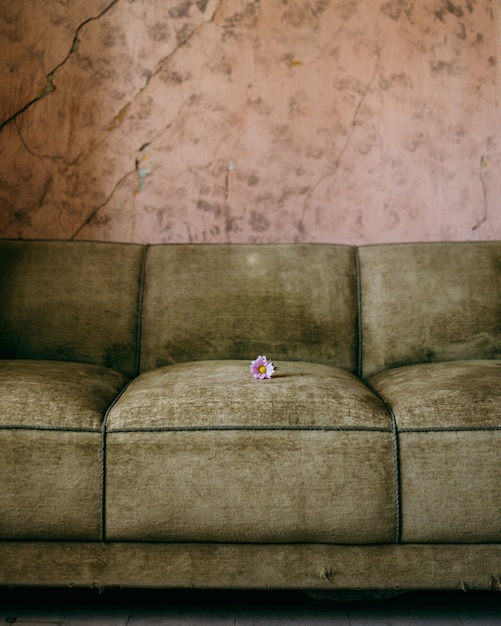 Photo empty sofa at home