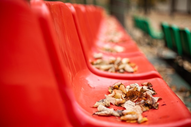 Empty sports red stands in the leaves in the fall yellow leaves lie on the red seats of the stands