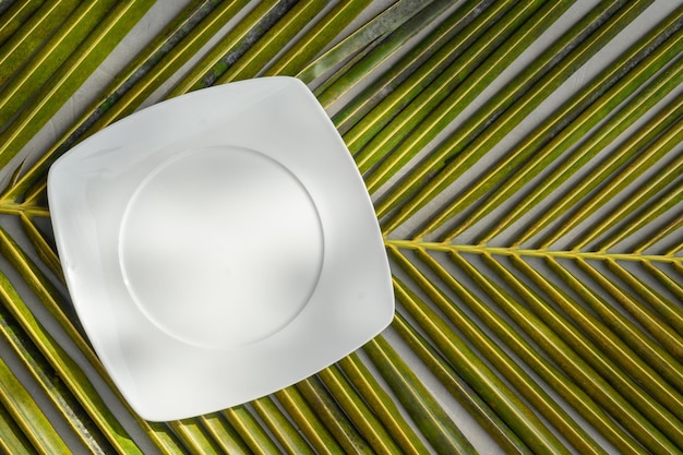 Empty square white plate on green palm leaf