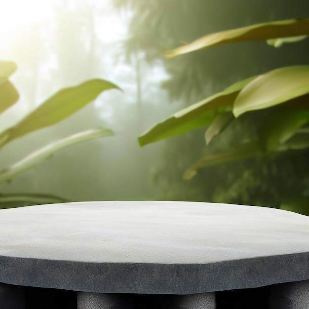 Empty stone podium with nature tropical leaves