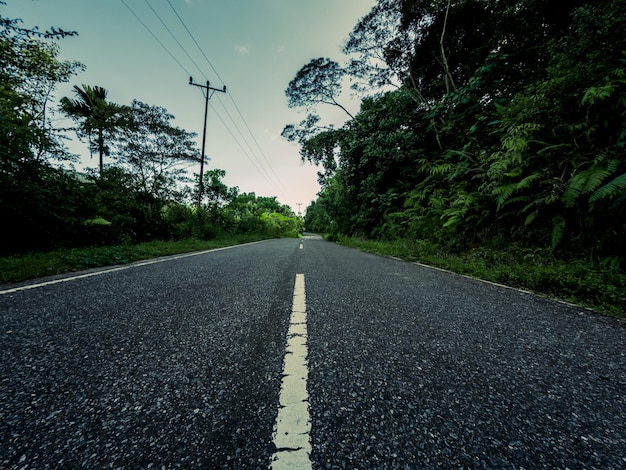 森の中の空のまっすぐな道