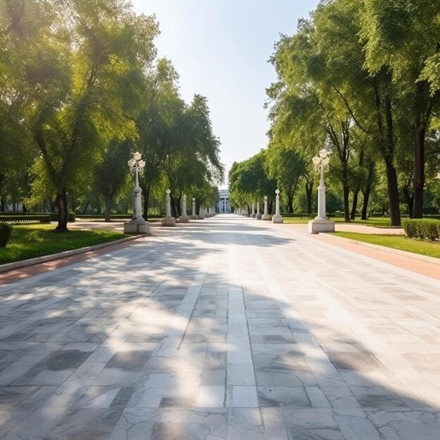 an empty street lined with trees in a park