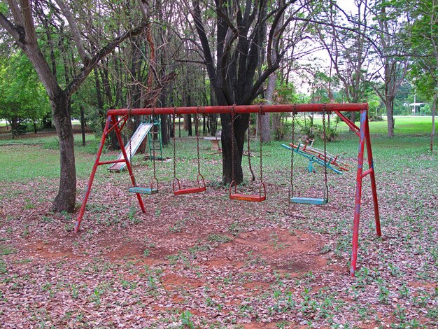 Empty swing in park