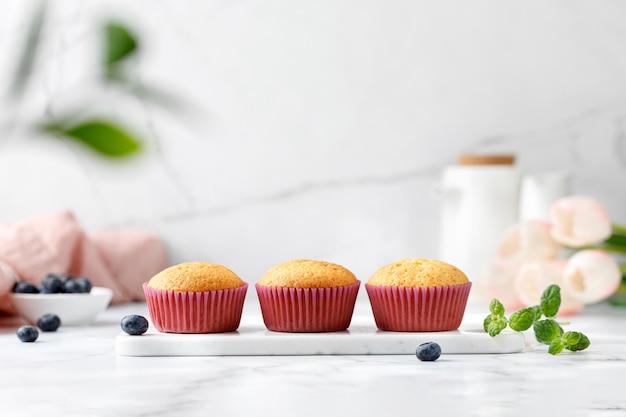 Empty vanilla cupcakes muffins with blueberries Delicious homemade dessert Festive bakery Copy space