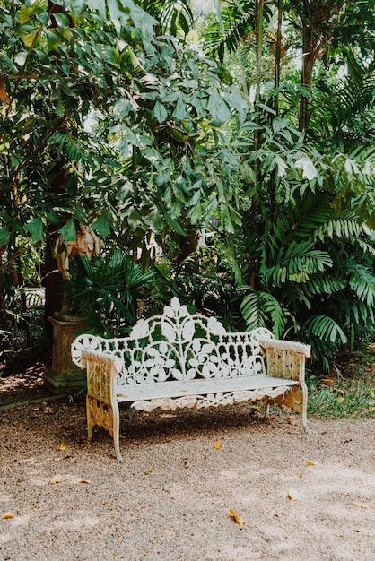 empty vintage bench in garden - vintage effect filter