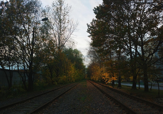 空のヴィンテージ鉄道線路の背景