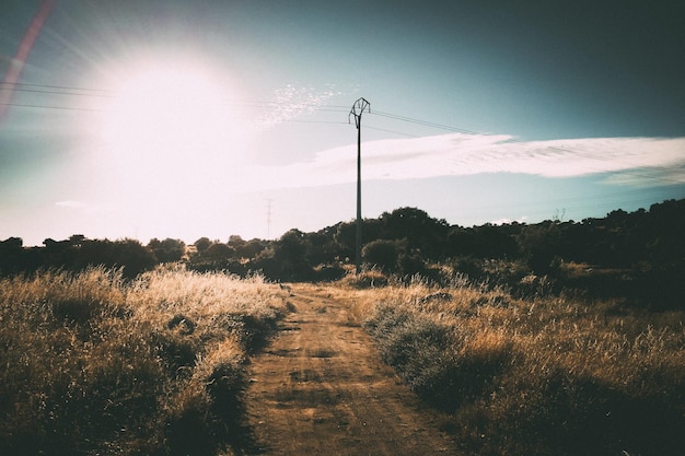 Foto passeggiata vuota in mezzo all'erba sul campo contro il cielo