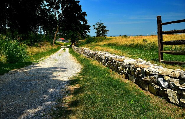 Foto una passerella vuota vicino a un campo erboso