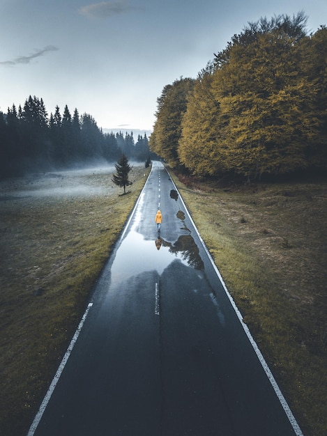 Photo empty wet road by trees against sky