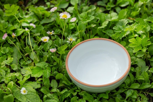 Empty white bowl