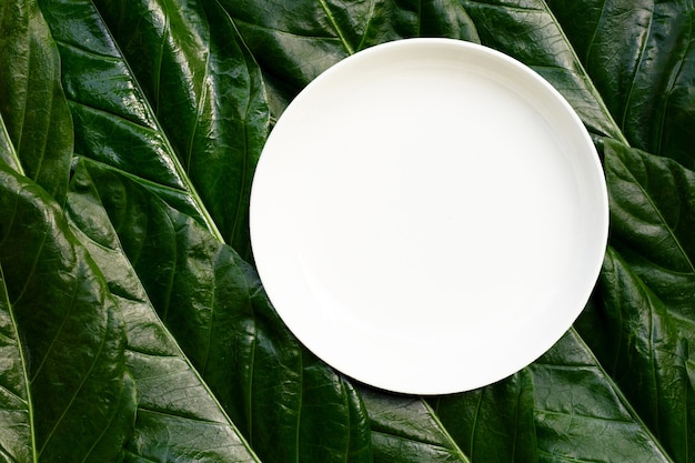 Empty white ceramic plate on Noni or Morinda Citrifolia leaves background. Top view