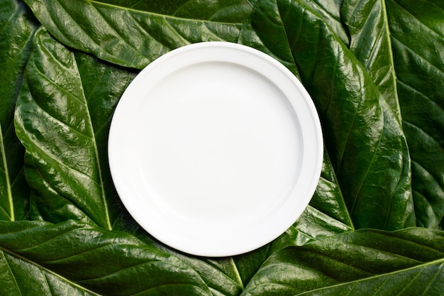 Empty white ceramic plate on Noni or Morinda Citrifolia leaves background.