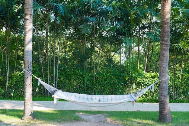 Empty white hammock hanging between two palm trees in garden