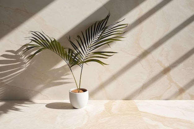 Empty White Marble Counter with Palm Tree and Shadow 3D Interior Mockup Generative Ai