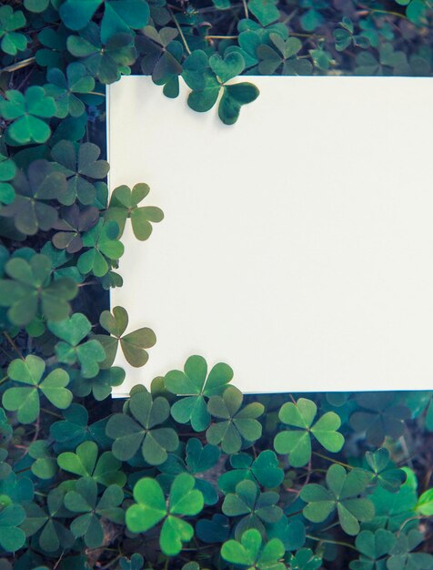 Empty white paper list mockup on clover leaves