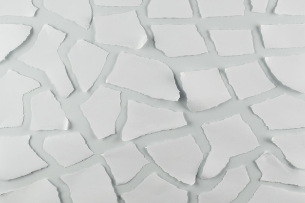 Empty white paper pieces isolated