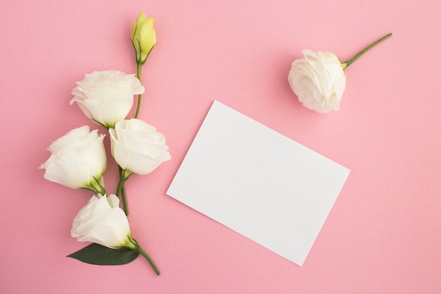 Empty white paper with roses