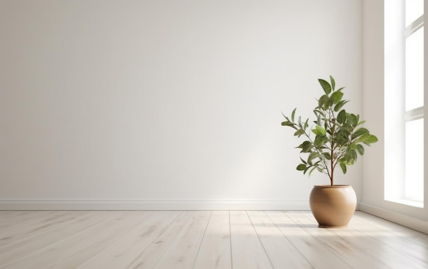 Photo empty white room interior with plant pot on a wooden floor