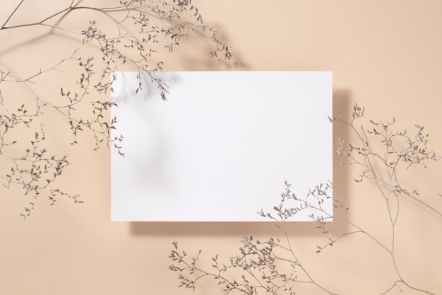 Empty white square poster or card mockup with dried grass decoration on beige background