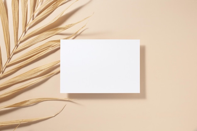 Empty white square poster or card mockup with palm leaves on beige background Tropical light background Flat lay Copy space