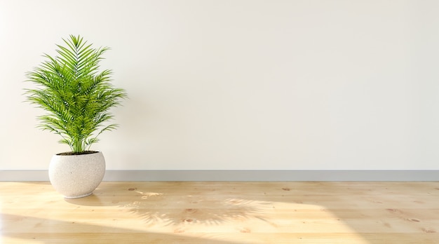 Empty white wall background with sunlight and shadow