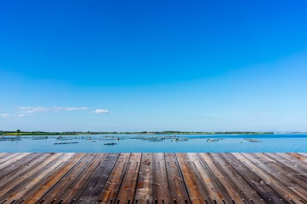 Empty wood floor with landscape background.