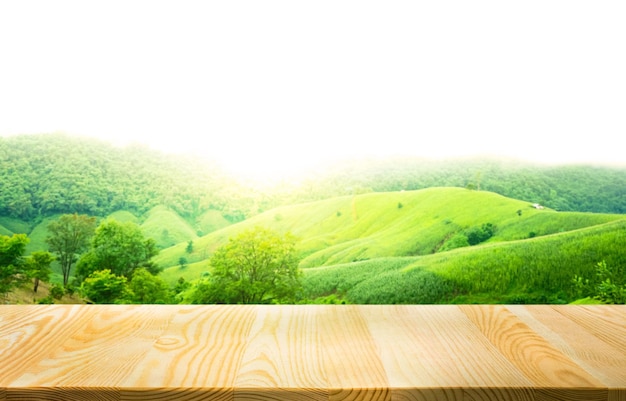 Empty of wood table top on blur of fresh green from mountain background.For montage product display or design key visual layout