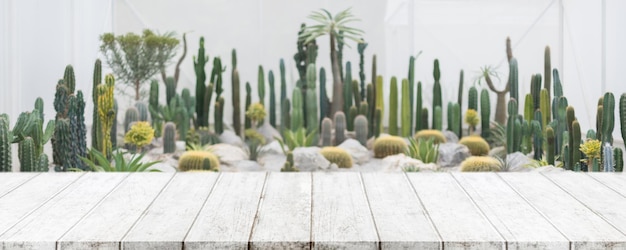 Empty wood table top and blurred green house with cactus and succulent in agricultural farms background - can used for display or montage your products.