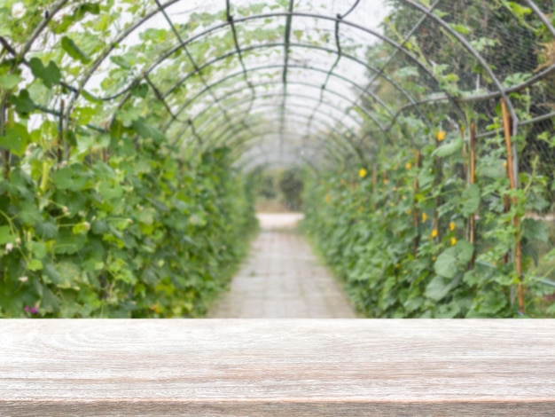 農業農場の背景にある空の木のテーブルトップとぼやけた緑の木と果物の野菜は、製品の展示やモンタージュに使用できます