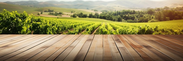 Empty wood table top with on blurred vineyard landscape background product display backdrop