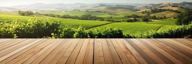 Empty wood table top with on blurred vineyard landscape background product display backdrop