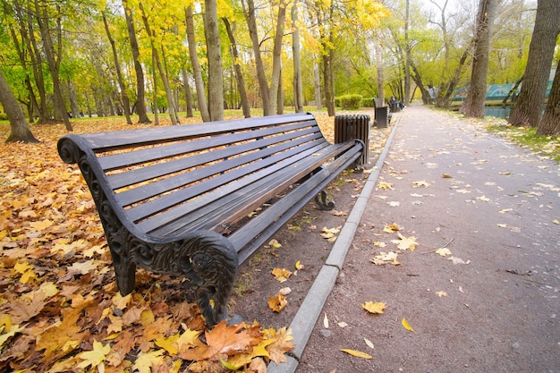 Empty wooden bench in autumn park. Fall season in city park. Wide angle photo.