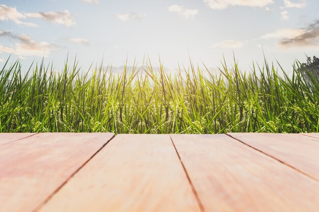 empty wooden floor on rice fields with blue sky