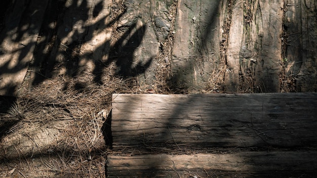 Empty wooden floor