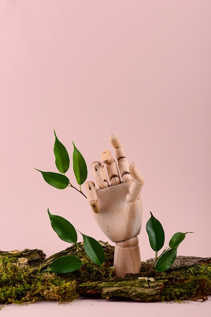 Foto mano di legno vuota con corteccia e foglie