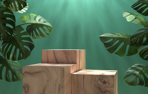 empty wooden stand display with tropical plant podium and natural leaf shadow on wall background