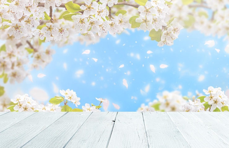 Photo 背景に空の木製のテーブルとぼんやりした桜の花の枝