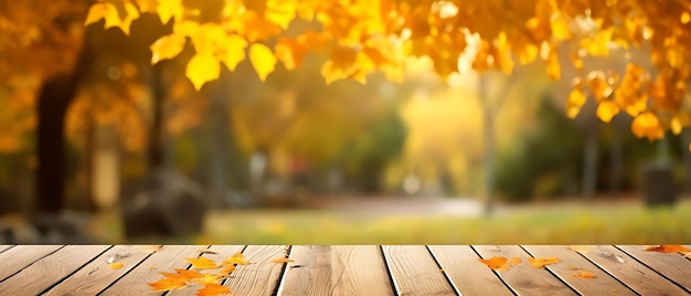 Empty Wooden table in garden of fall time